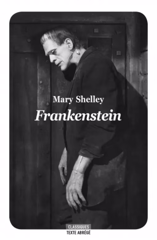 Portrait peint d'Ada Lovelace portant une robe élégante et des bijoux